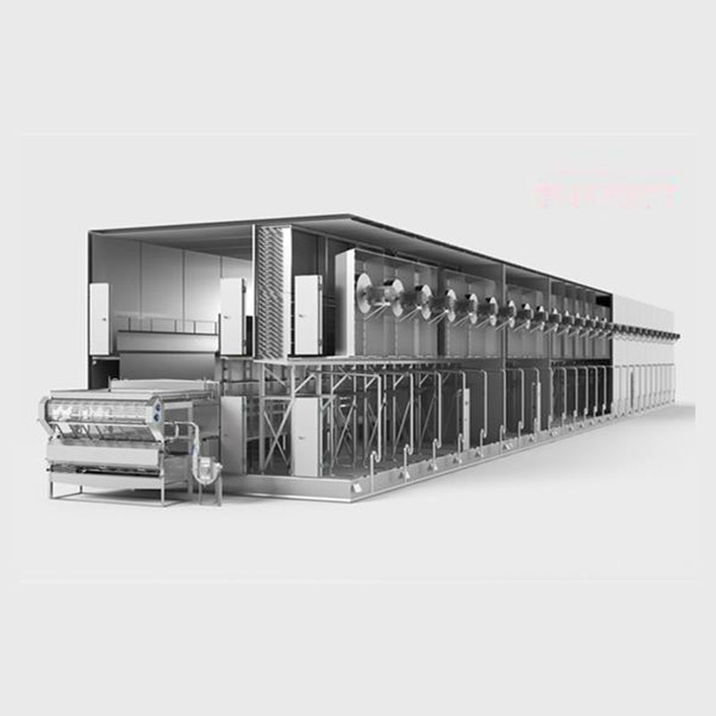 Fluidized Quick Freezer